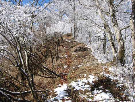 20191129hike (178)